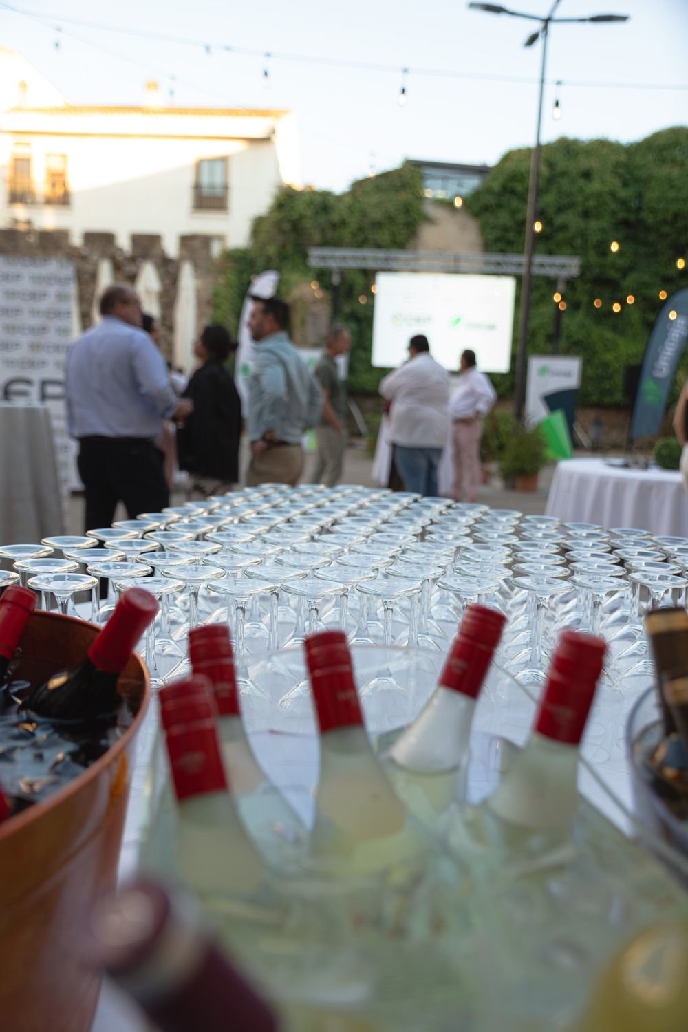Barra con vinos y cava en hielo junto a las copas